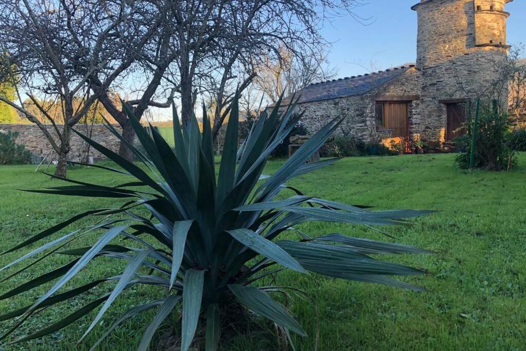 Apartamento Turistico Con Precioso Jardin - Los Gayoles Rural カストロポル エクステリア 写真