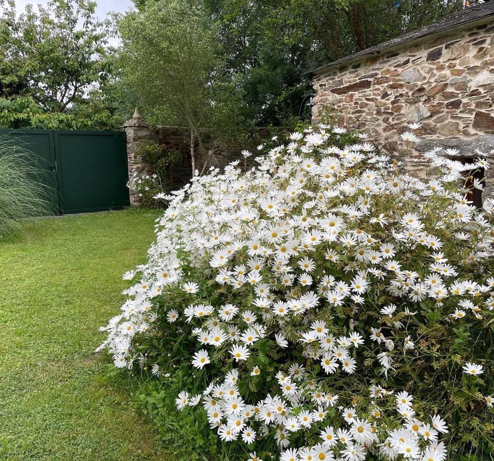 Apartamento Turistico Con Precioso Jardin - Los Gayoles Rural カストロポル エクステリア 写真